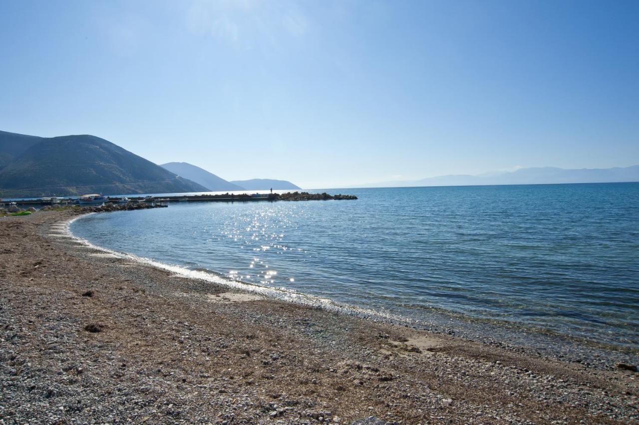 Luxury Seafront House Nearby Delphi Leilighet Kirra Eksteriør bilde