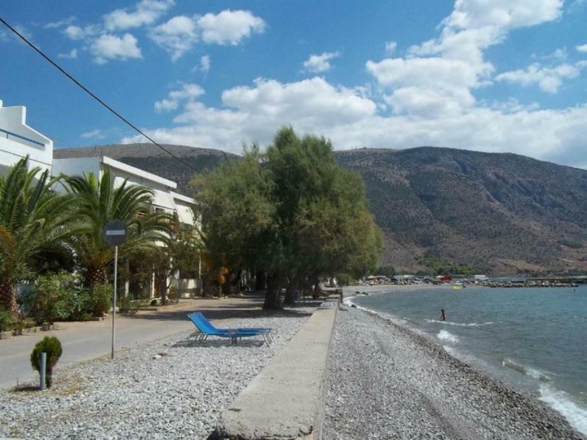 Luxury Seafront House Nearby Delphi Leilighet Kirra Eksteriør bilde