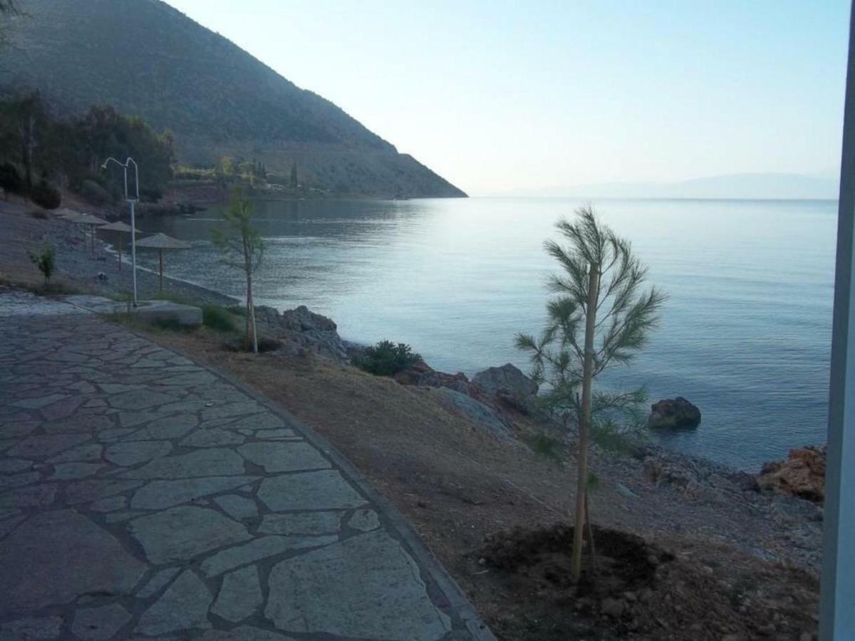 Luxury Seafront House Nearby Delphi Leilighet Kirra Eksteriør bilde
